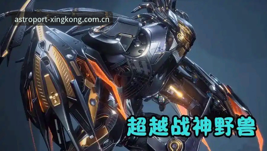 星空入口新域测评站教程 星空入口vs同类平台:我在新域测评站连续蹲了48小时后发现了什么